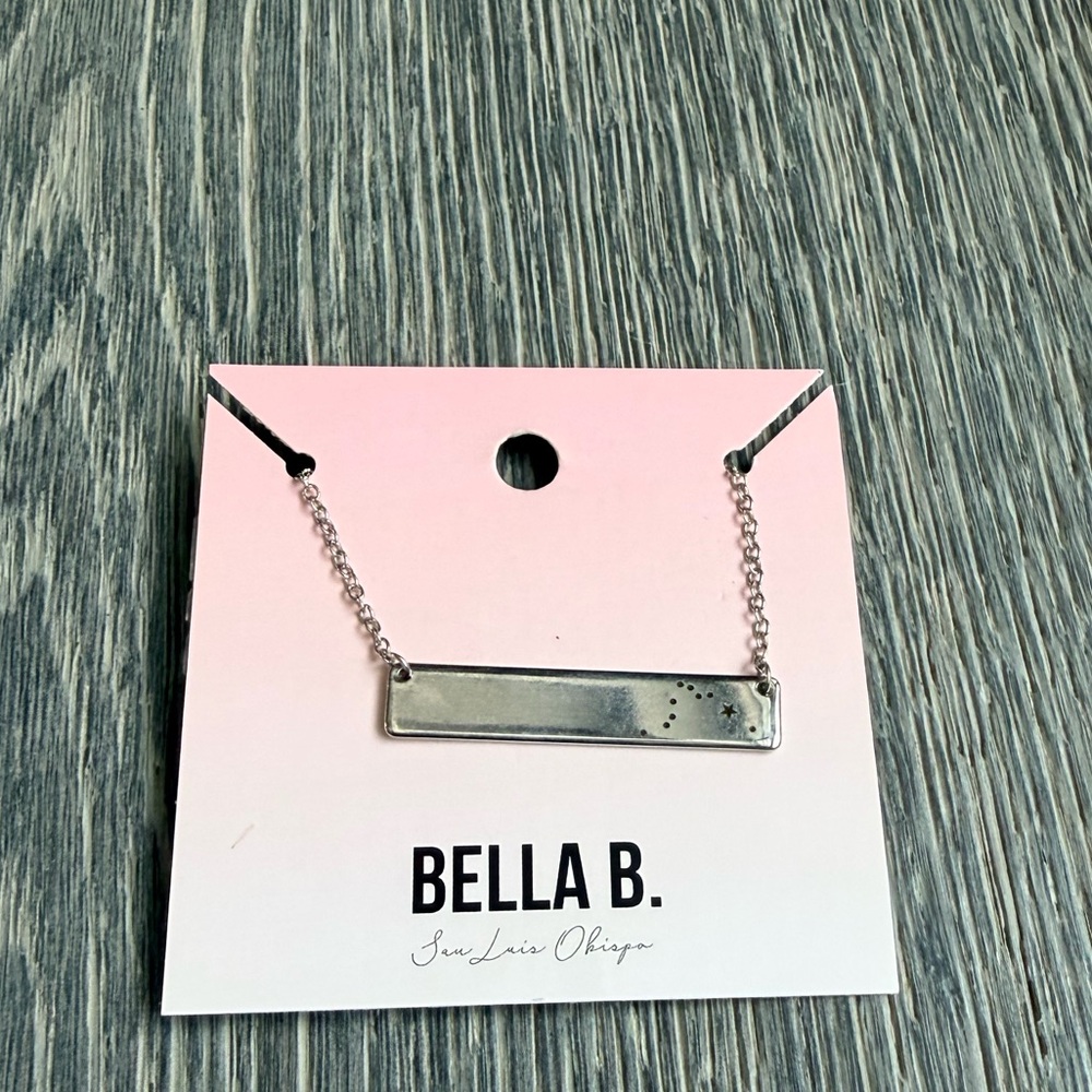 Aquarius Zodiac Constellation Bar Necklace In Silver
